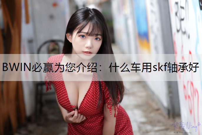 BWIN必赢为您介绍：什么车用skf轴承好